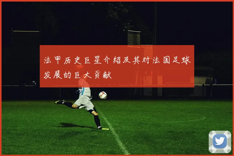 法甲历史巨星介绍及其对法国足球发展的巨大贡献