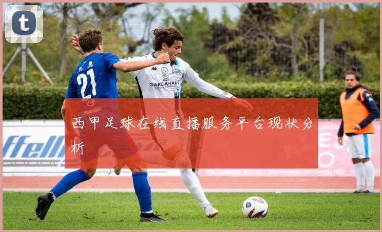 西甲足球在线直播服务平台现状分析