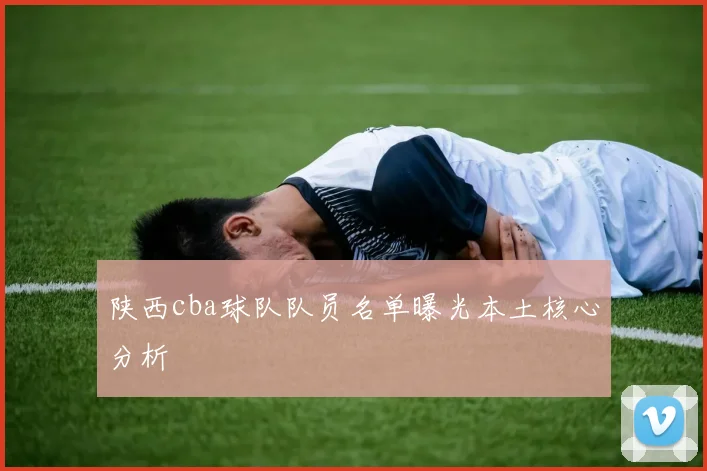 陕西cba球队队员名单曝光本土核心分析