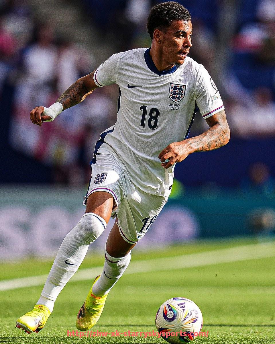 星空体育-法甲外援适应度及其对球队体育竞技实力的贡献